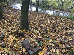Opleiding in de kijker: natuurbegraafplaatsen