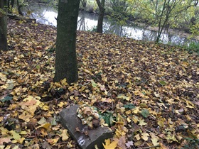 Opleiding in de kijker: natuurbegraafplaatsen