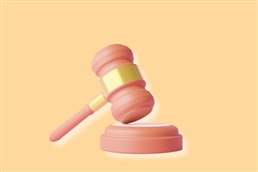 Gezinshereniging: de gevolgen van het arrest van het Grondwettelijk Hof