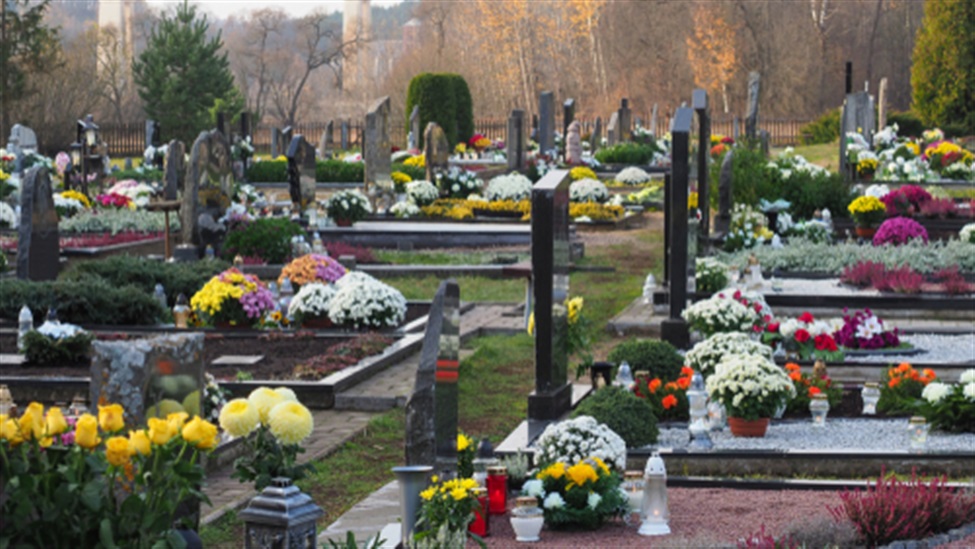 Allerheiligen in aantocht: sensibiliseer jullie burgers over duurzaam grafonderhoud