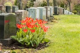 Coronanieuws: versoepelingen op begraafplaatsen, aanwezigheden huwelijk blijven beperkt