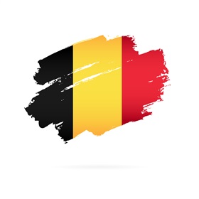 Uitvoeringsbesluiten Wetboek Belgische nationaliteit